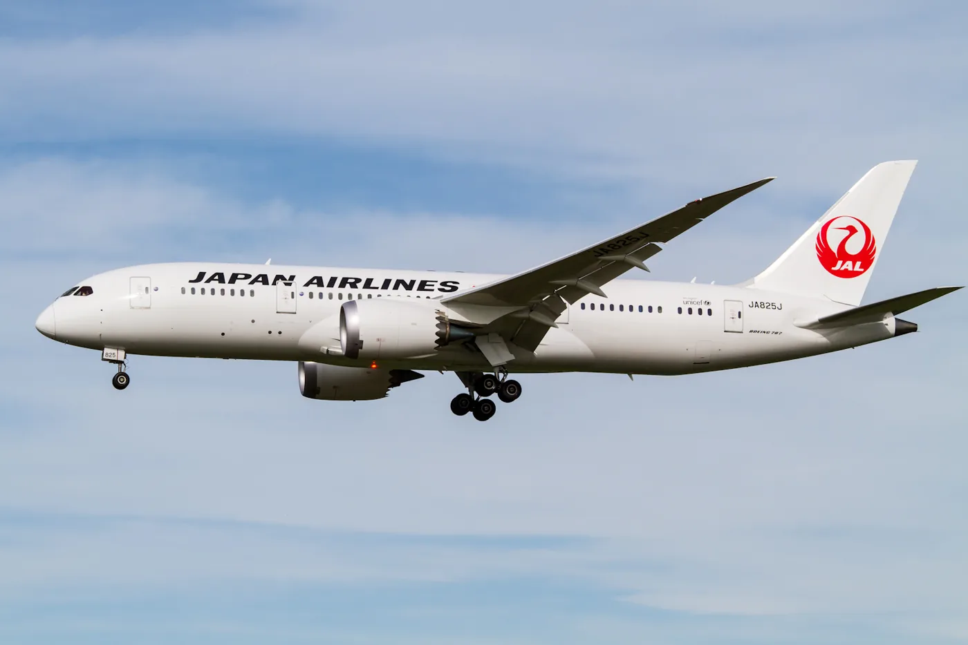 Boeing 787-8 (representative)